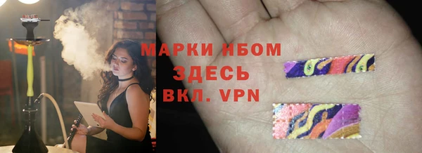стафф Семикаракорск