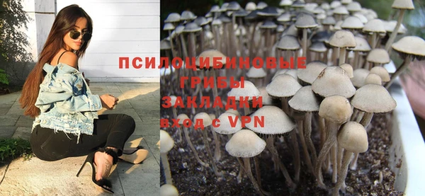 стаф Семёнов