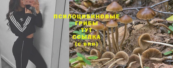 прущая мука Семилуки