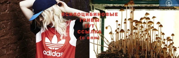 стаф Семёнов