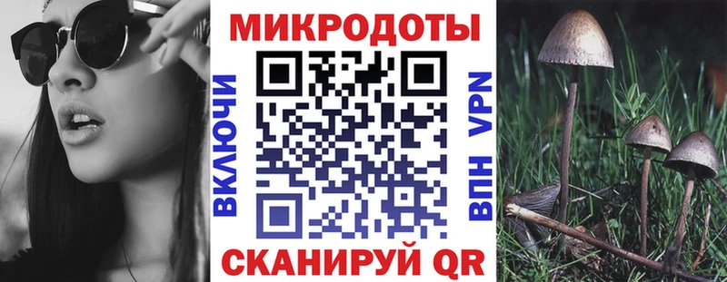 Галлюциногенные грибы MAGIC MUSHROOMS  наркота  Старая Купавна 