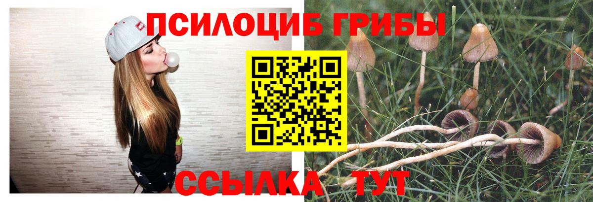Псилоцибиновые грибы мухоморы  цены наркотик  Старая Купавна  Вход с VPN 